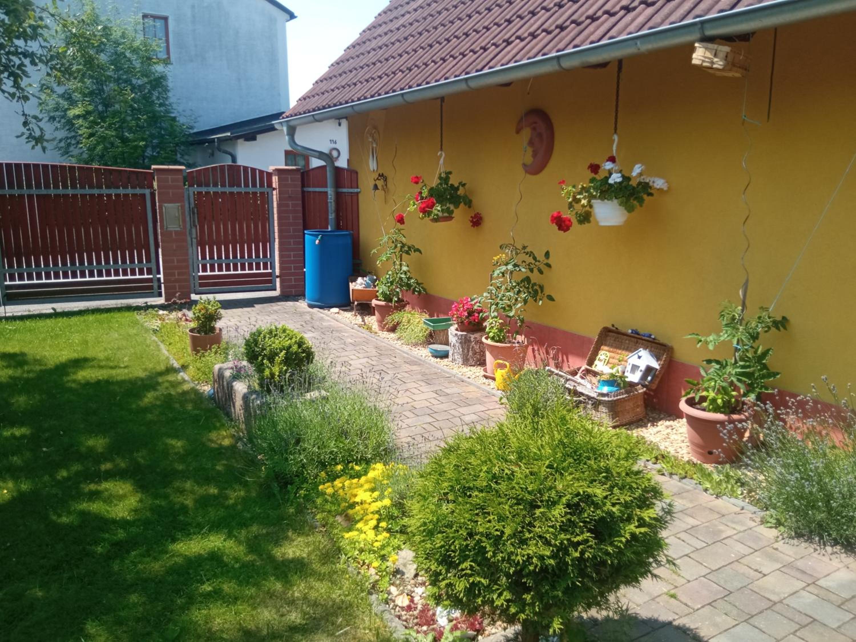 Photo 31