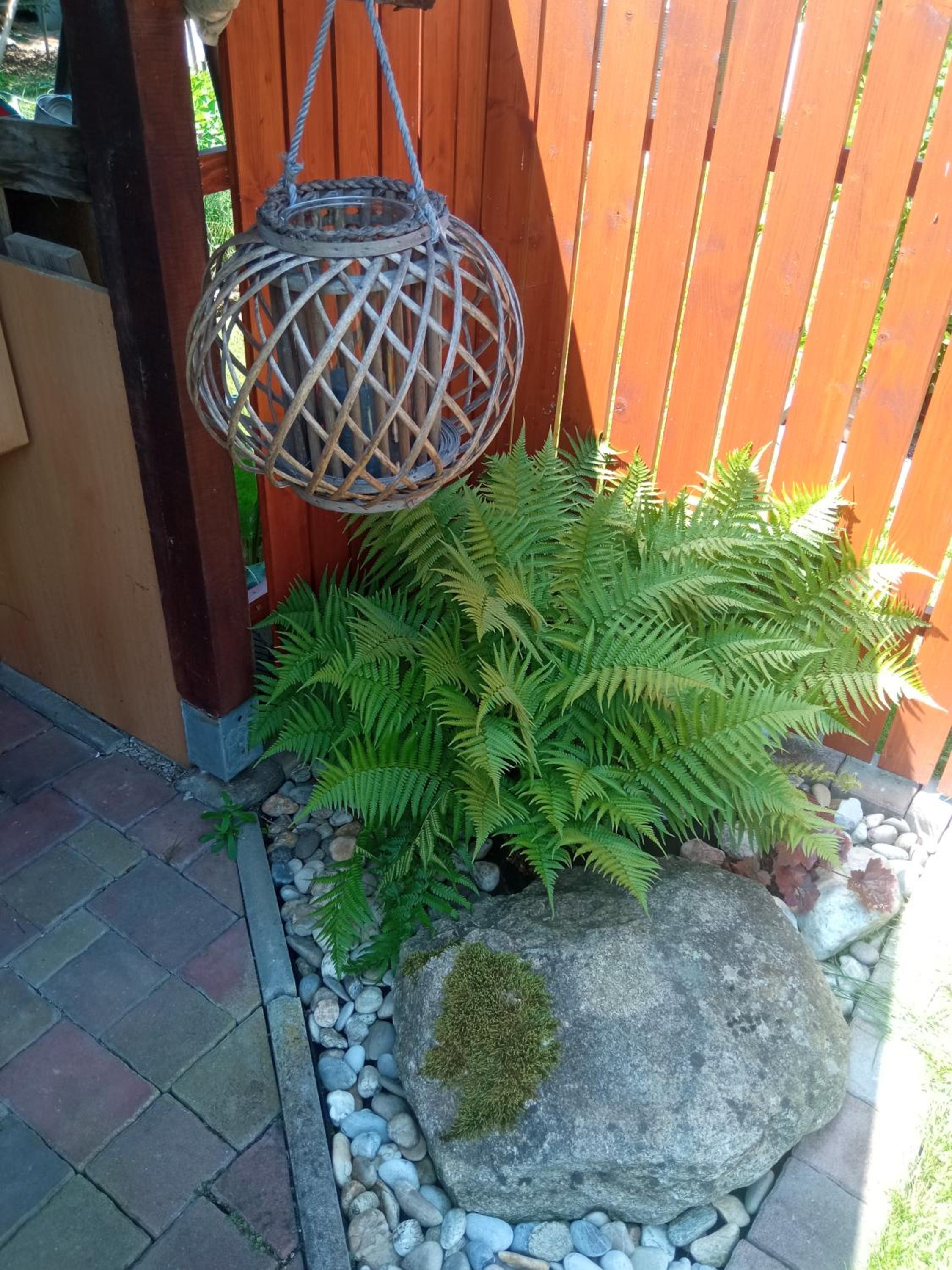 Photo 32