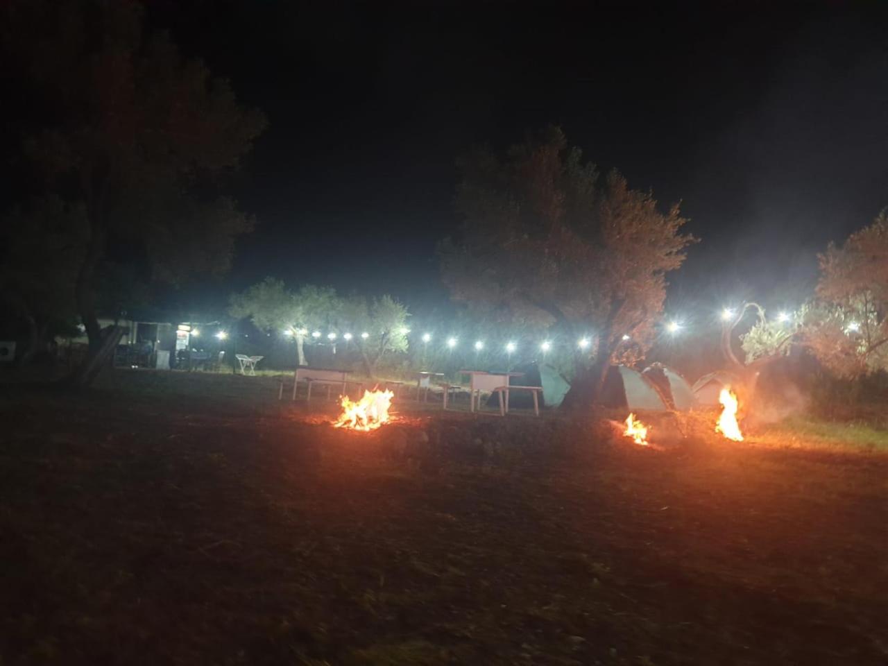 Aquariumi Jale Camping