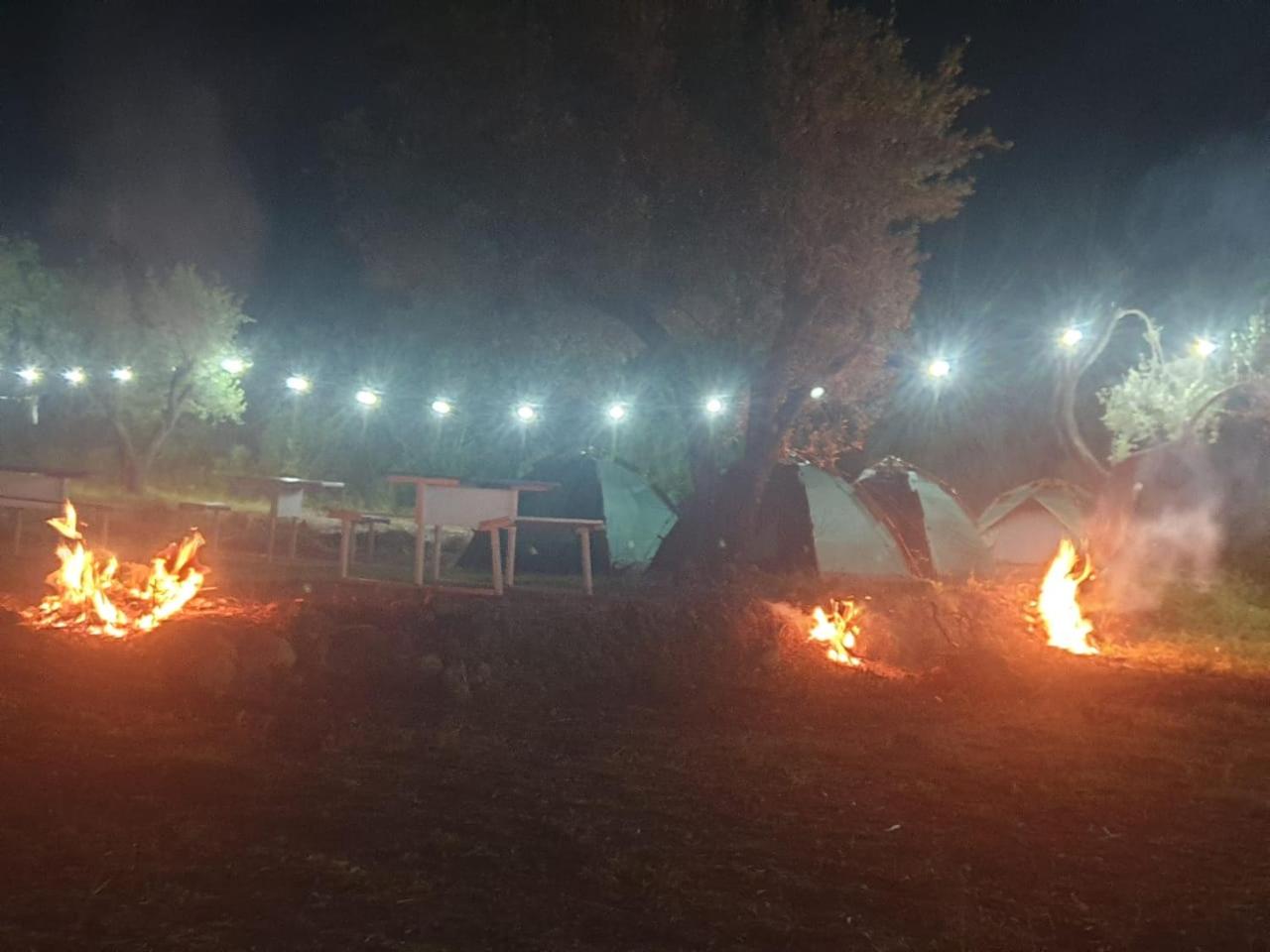 Aquariumi Jale Camping