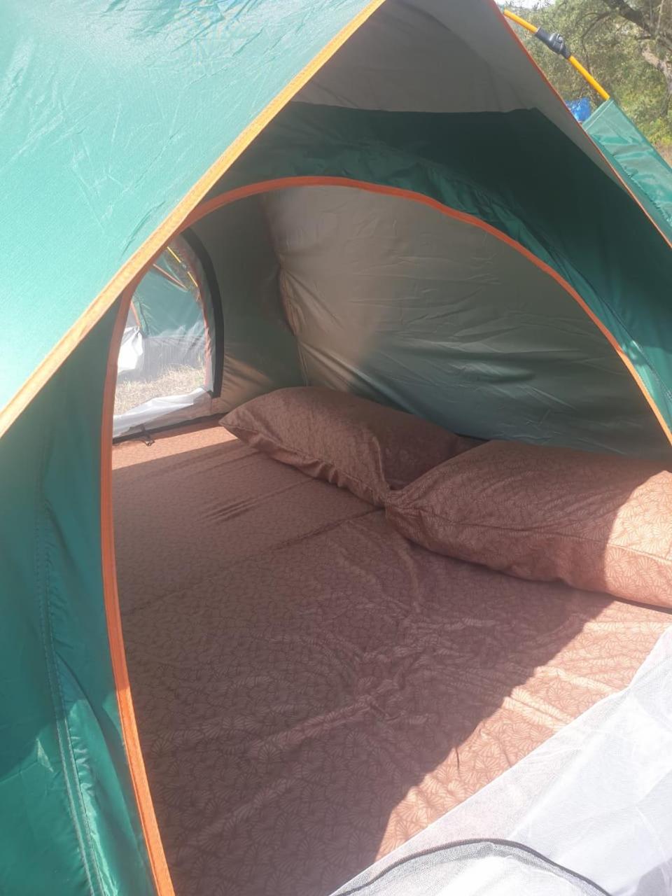 Aquariumi Jale Camping