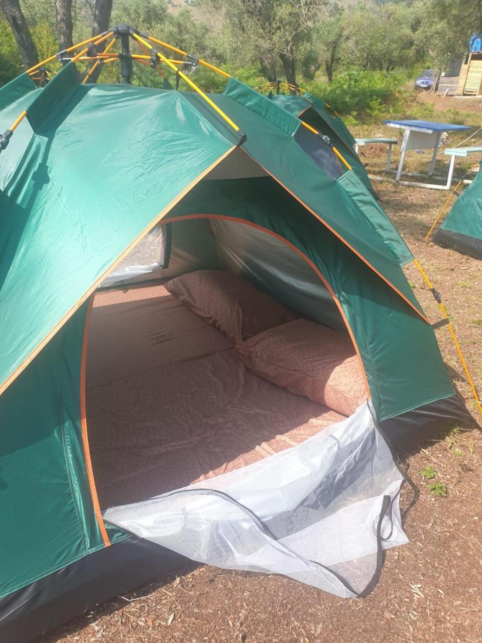 Aquariumi Jale Camping
