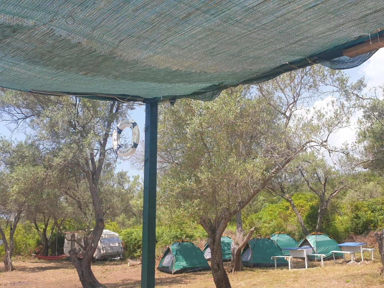 Aquariumi Jale Camping