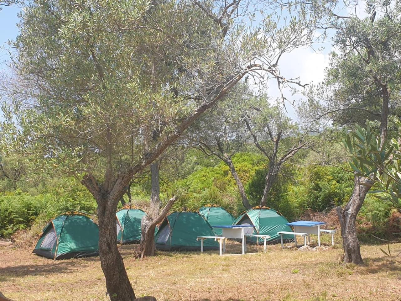 Aquariumi Jale Camping