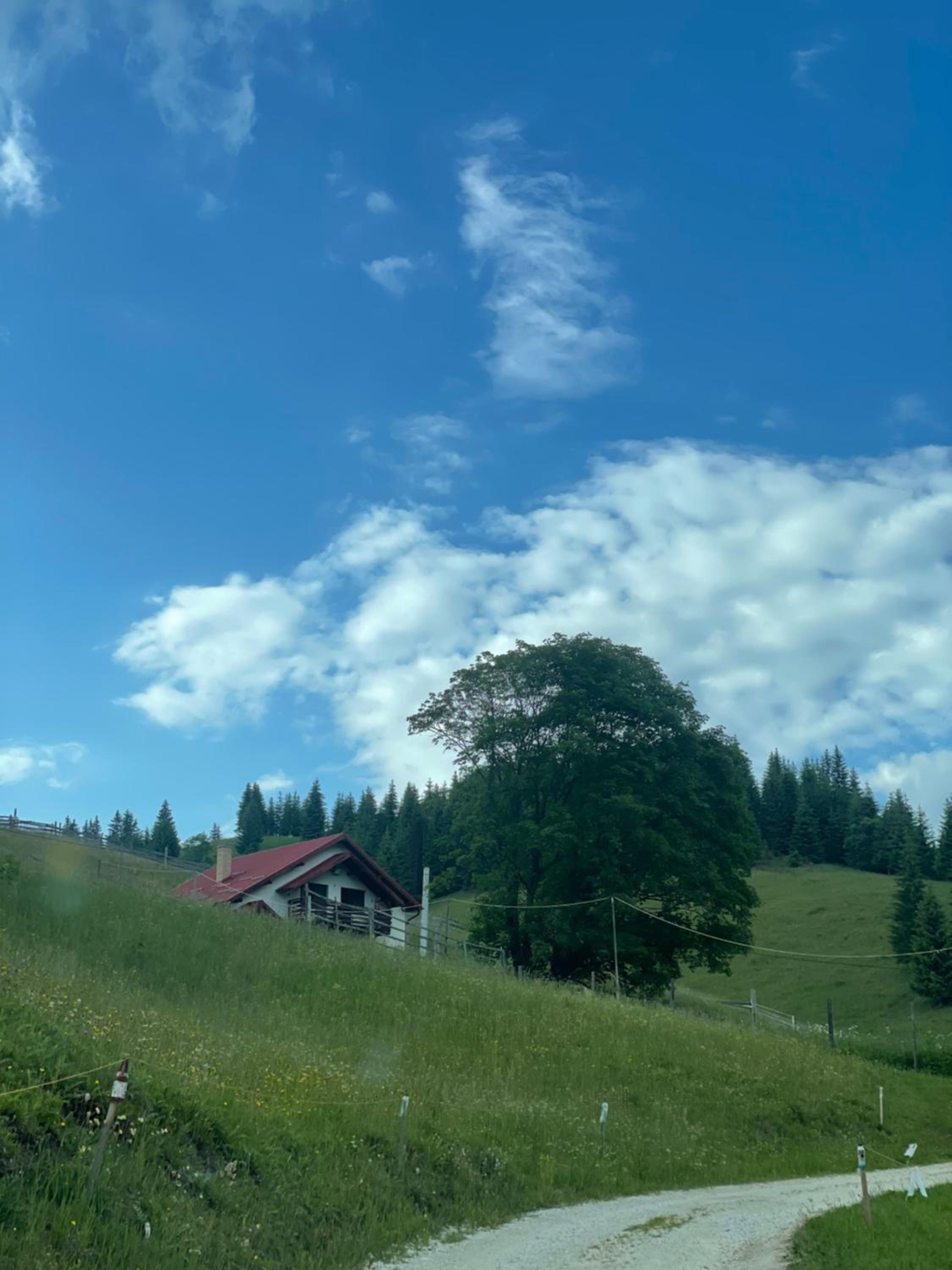 Cabana Stânceni