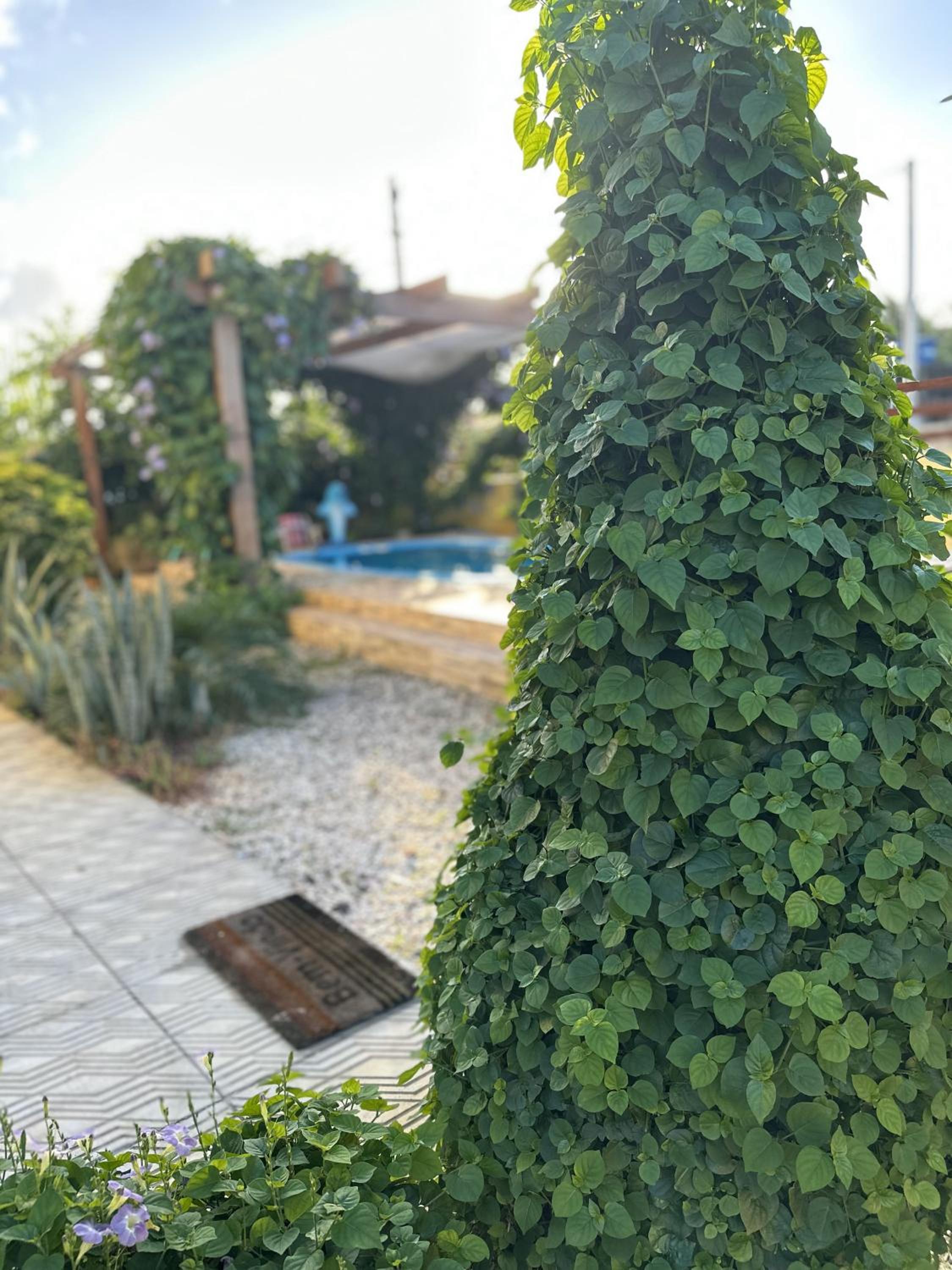 Pousada dos Sonhos