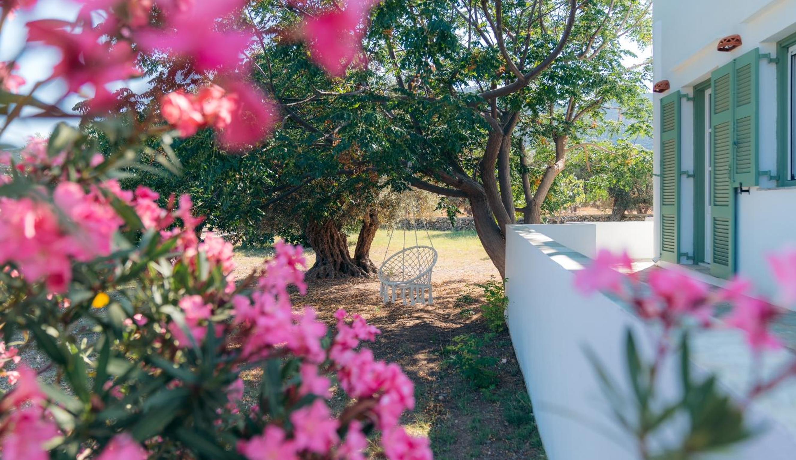 La Maison de Lilac-Luxurious Olive Grove apartments view 2