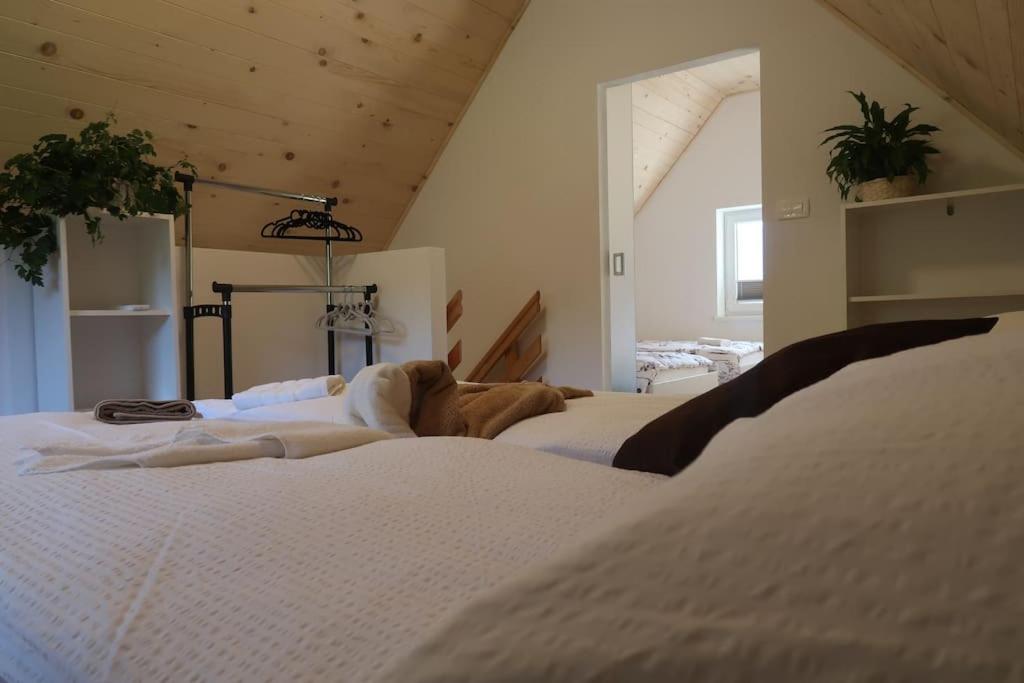 Holiday home Dreams