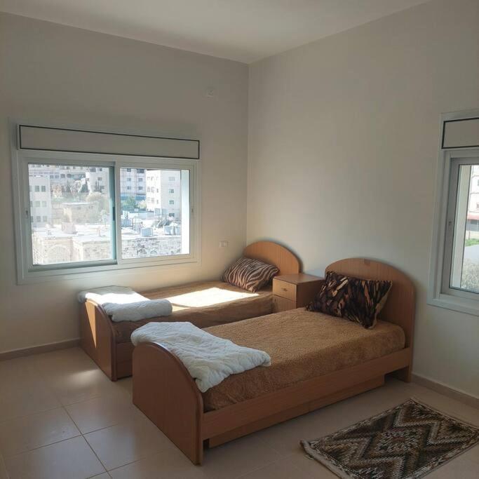 Ain Sara Space view 3