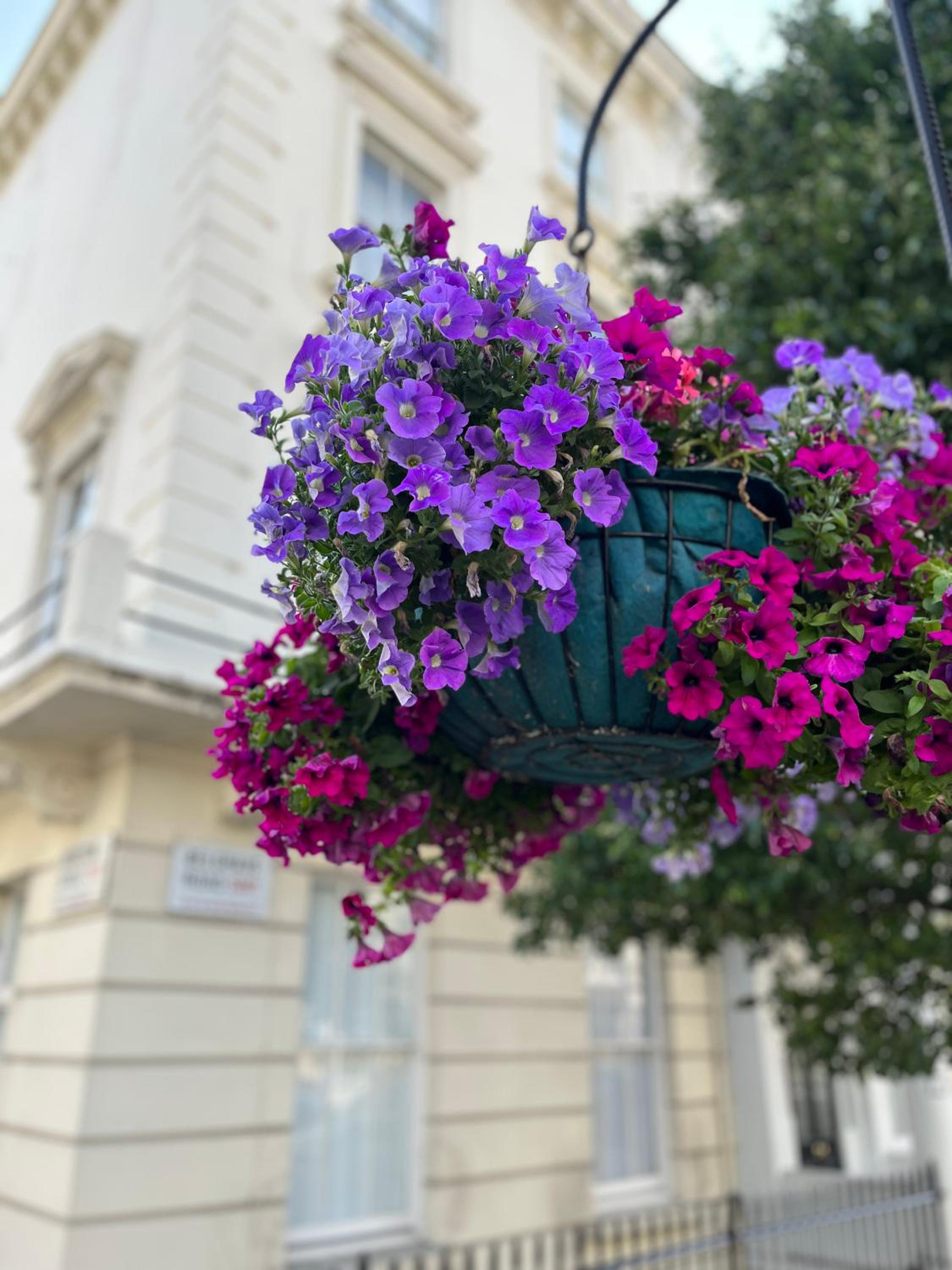 Belgrave Studio Apartments, Westminster London