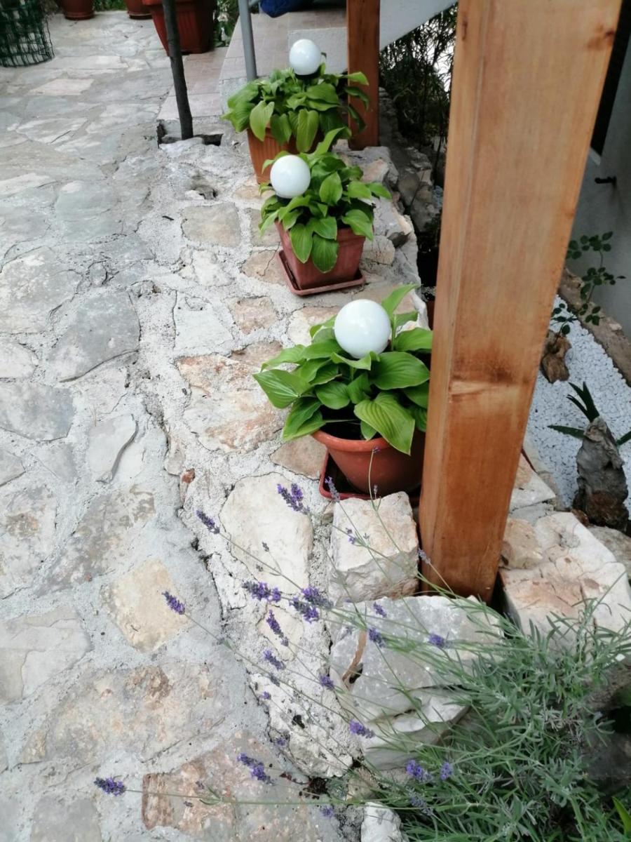 Photo 54