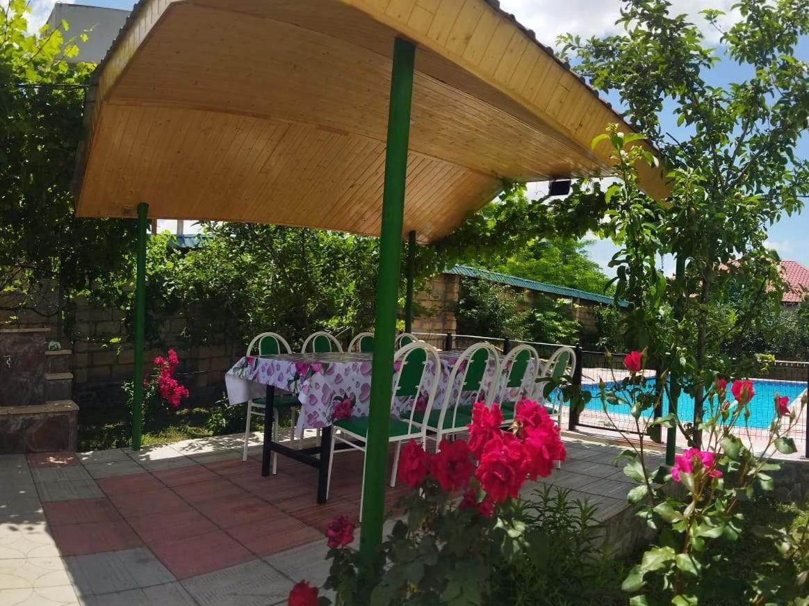 ARZ_ big swimming pool villa