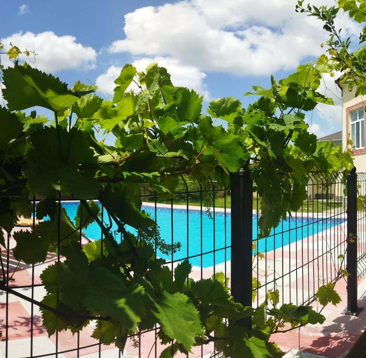 ARZ_ big swimming pool villa