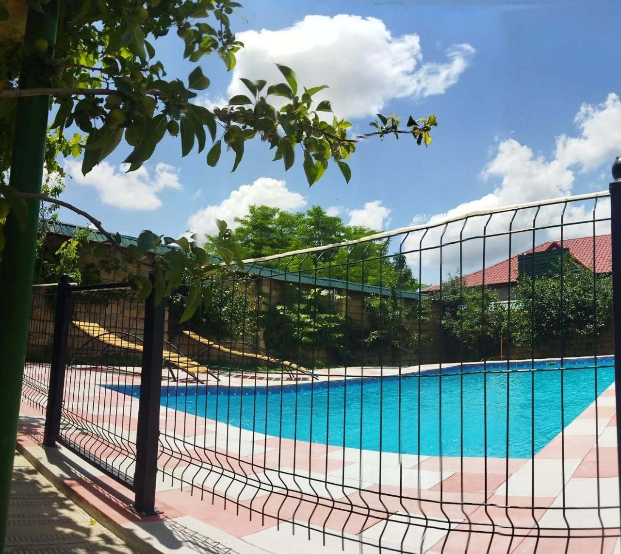 ARZ_ big swimming pool villa