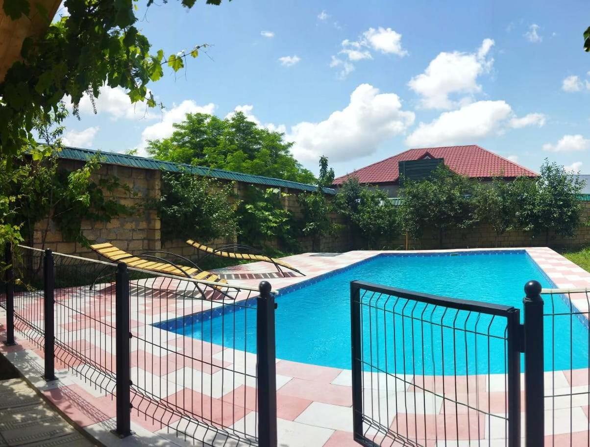 ARZ_ big swimming pool villa