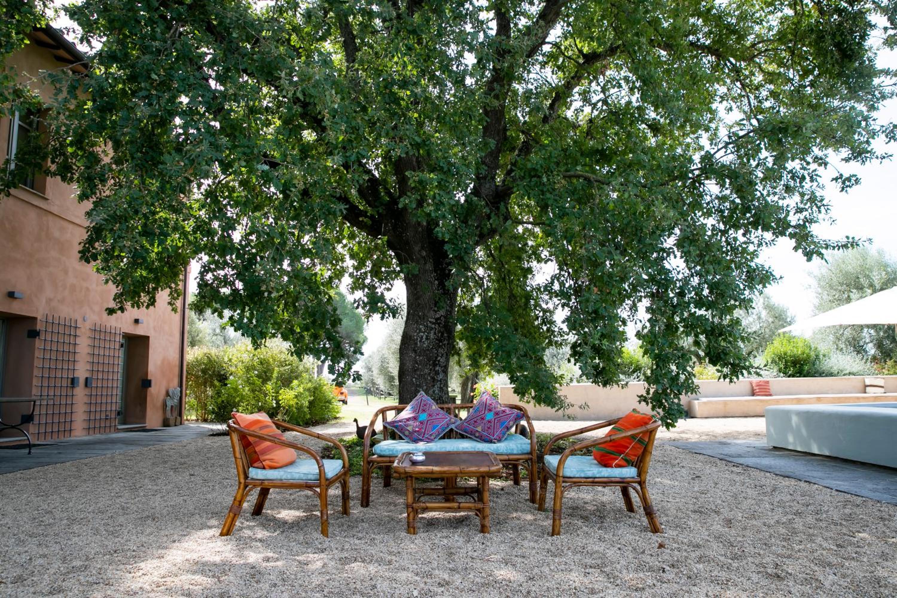 Tenuta Di Paternostro view 5