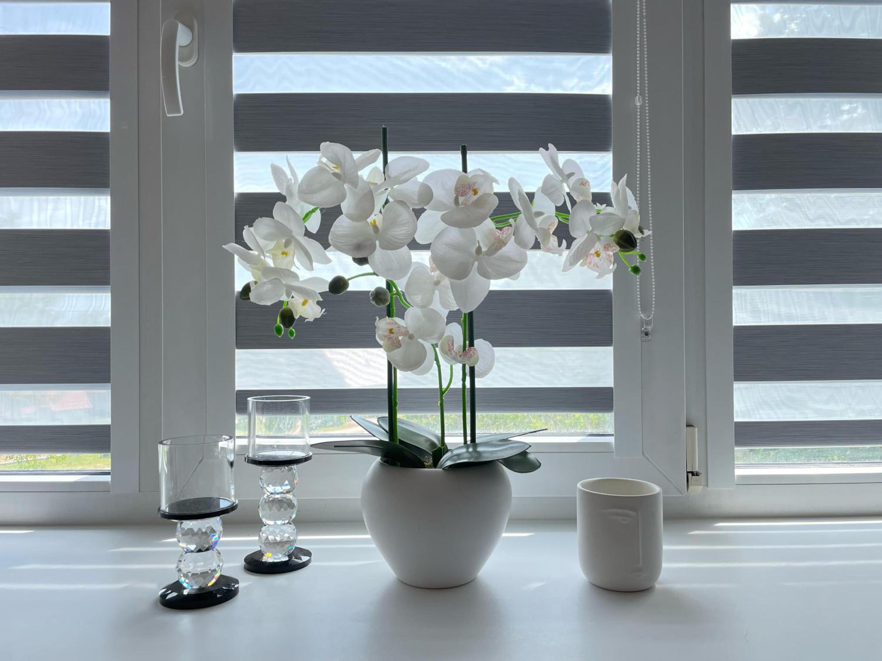 Balvi apartment