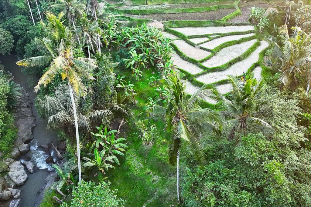 Ubud Riverside Villa