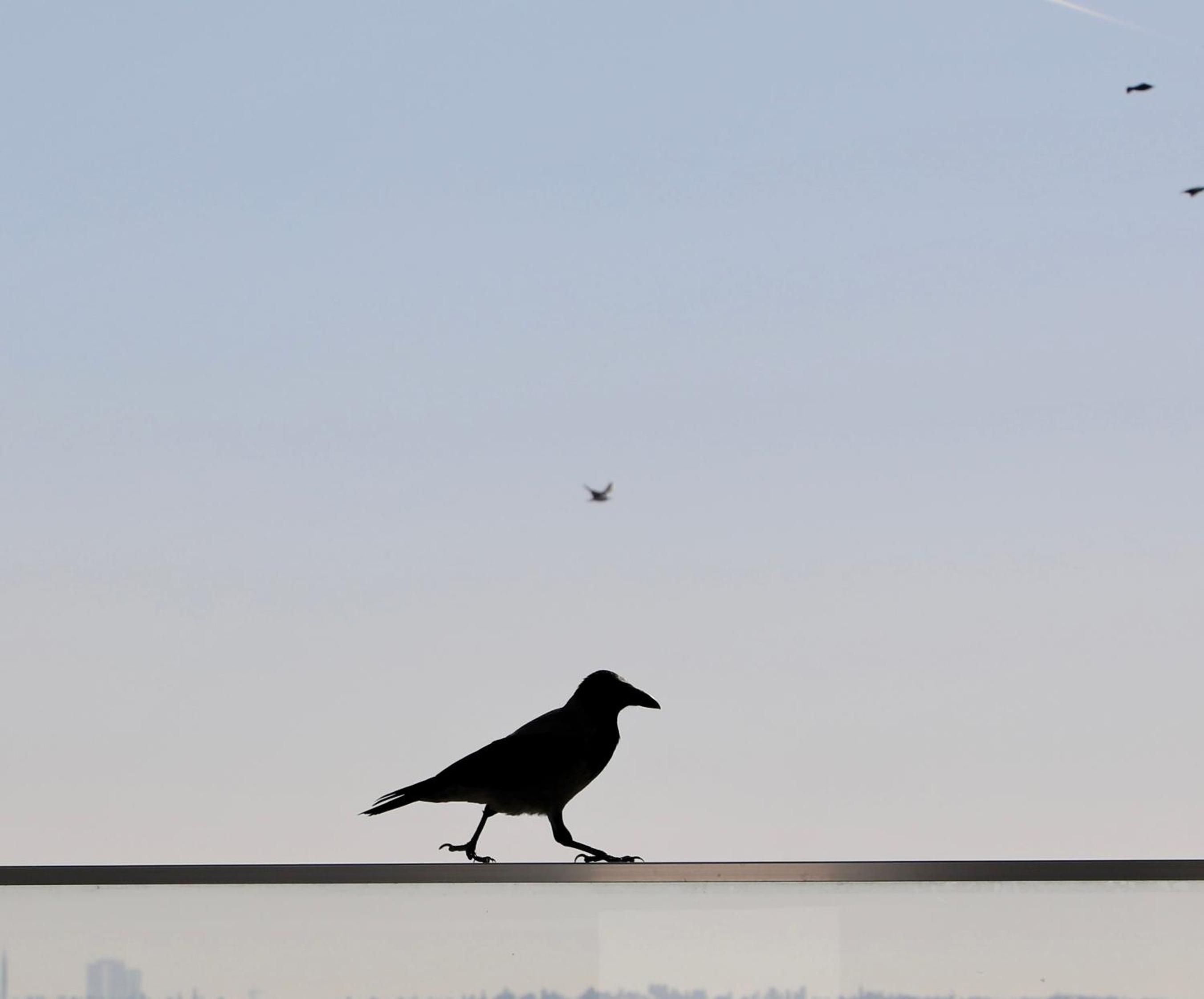 Istanbul Royal Hotel - Image 121