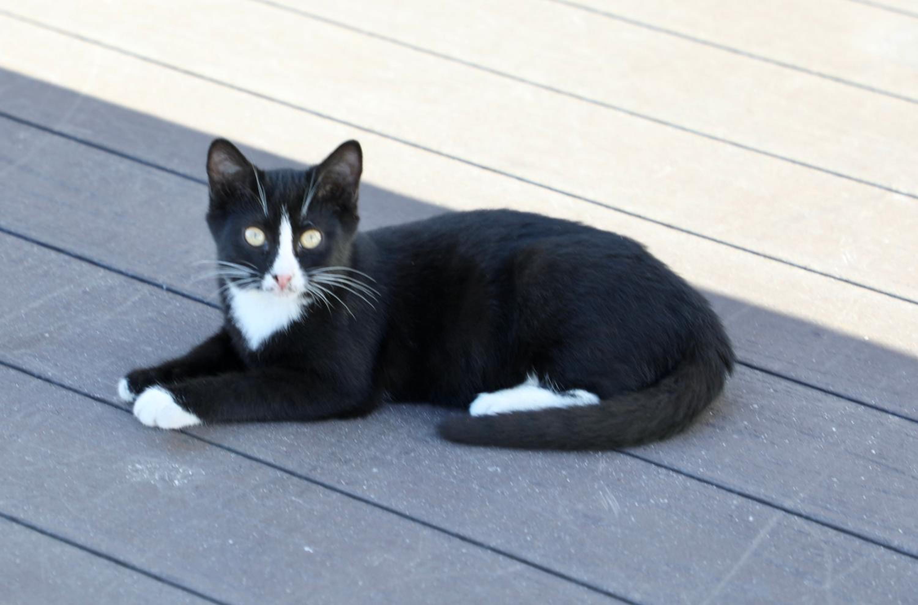 Istanbul Royal Hotel - Image 123