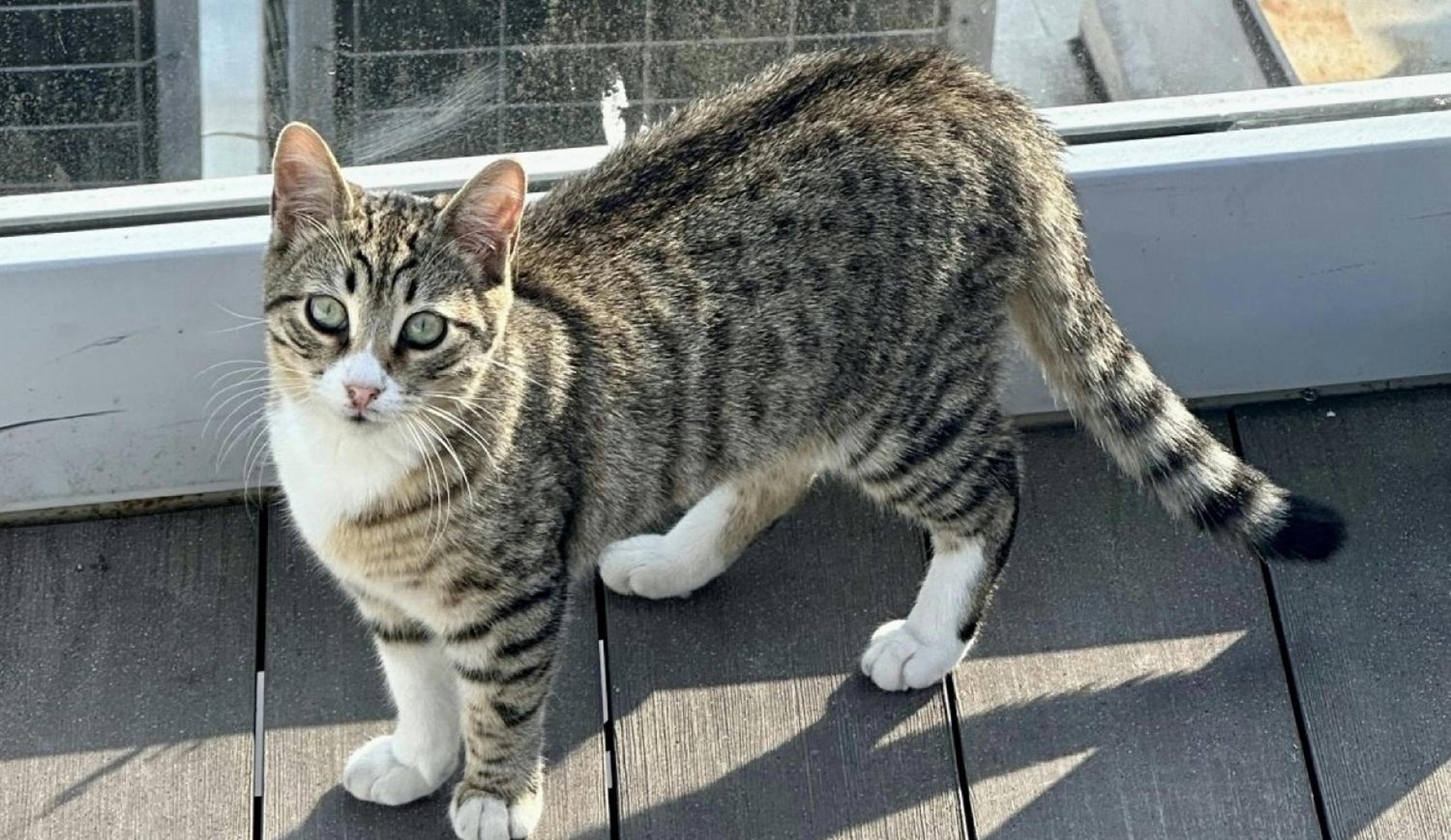 Istanbul Royal Hotel - Image 122