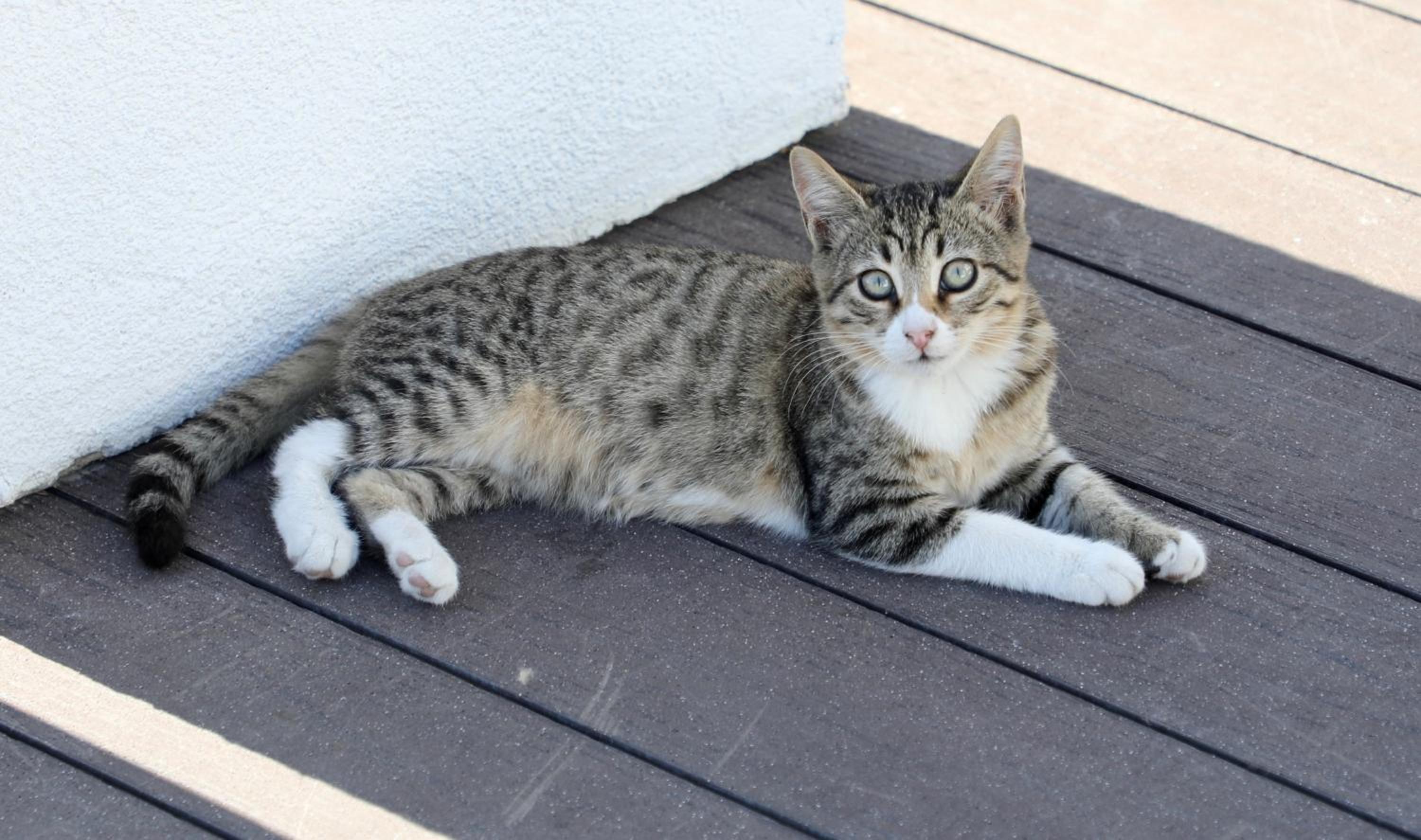 Istanbul Royal Hotel - Image 124