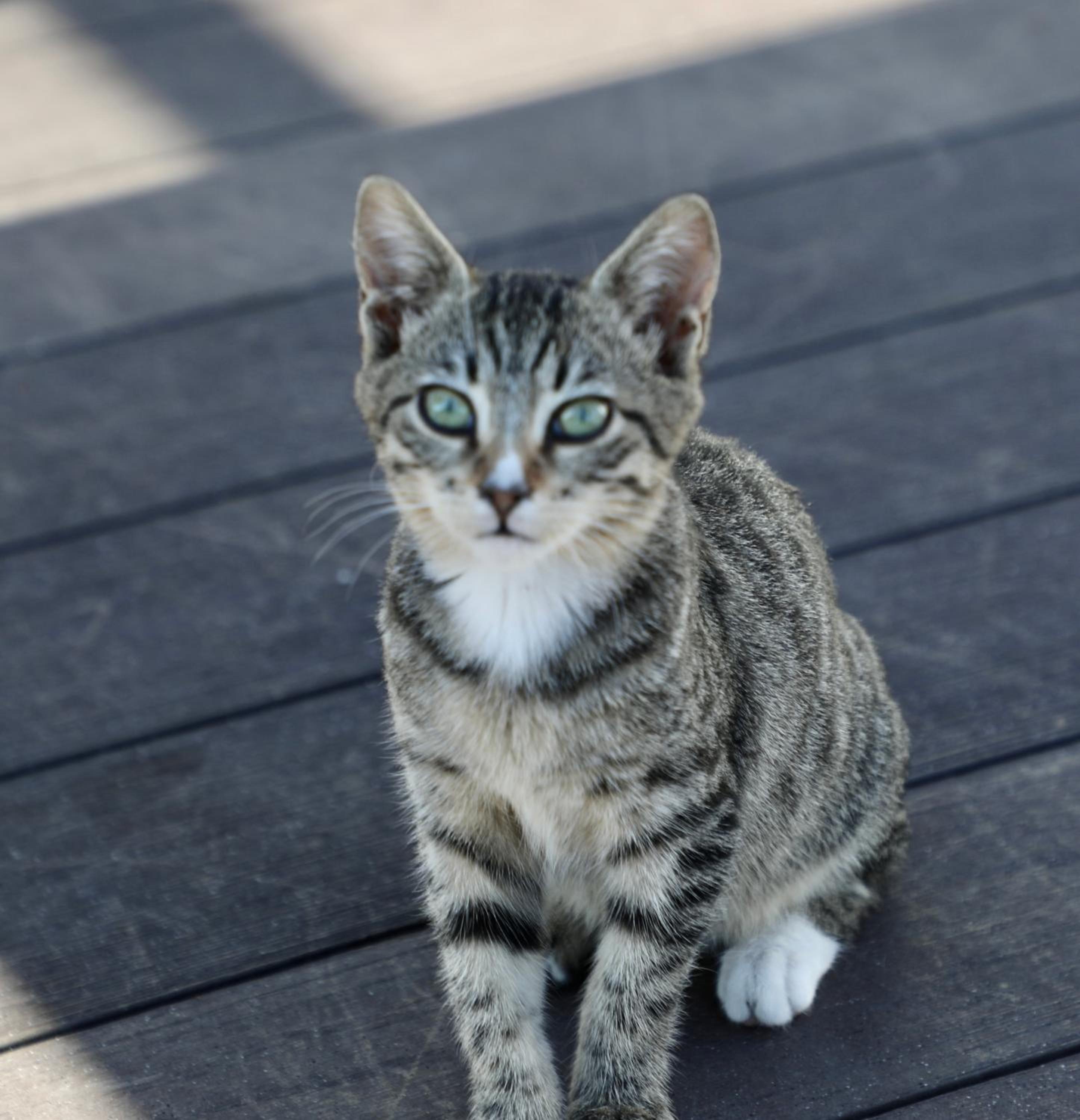 Istanbul Royal Hotel - Image 125