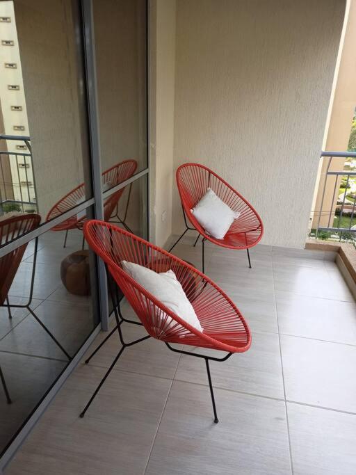 Lindo y acogedor apartamento