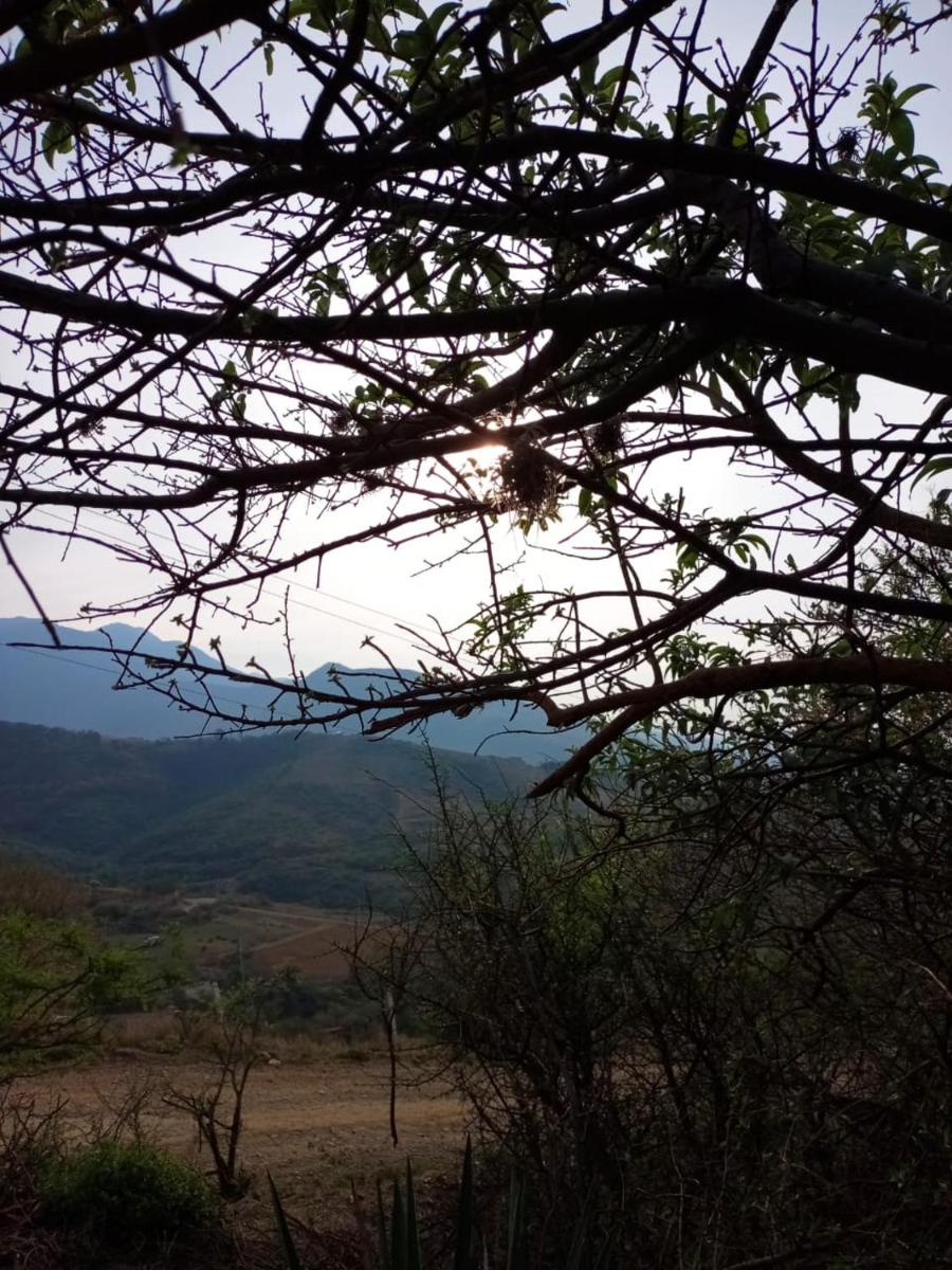 Photo 42