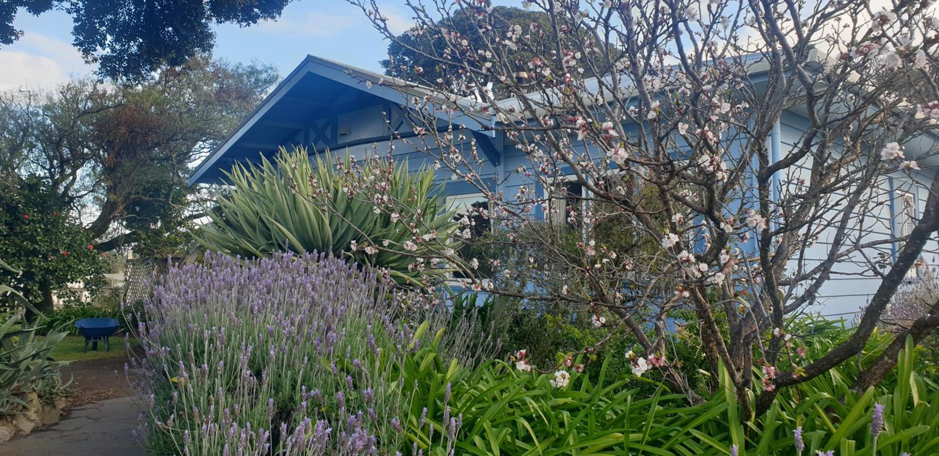 Pohutukawa Villa
