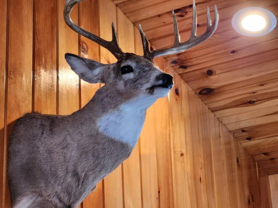 Spacious 5 Bedroom Cabin with Riverview & Black Lake Access