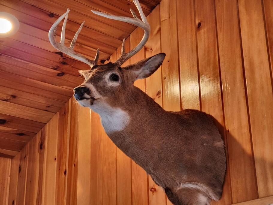 Spacious 5 Bedroom Cabin with Riverview & Black Lake Access