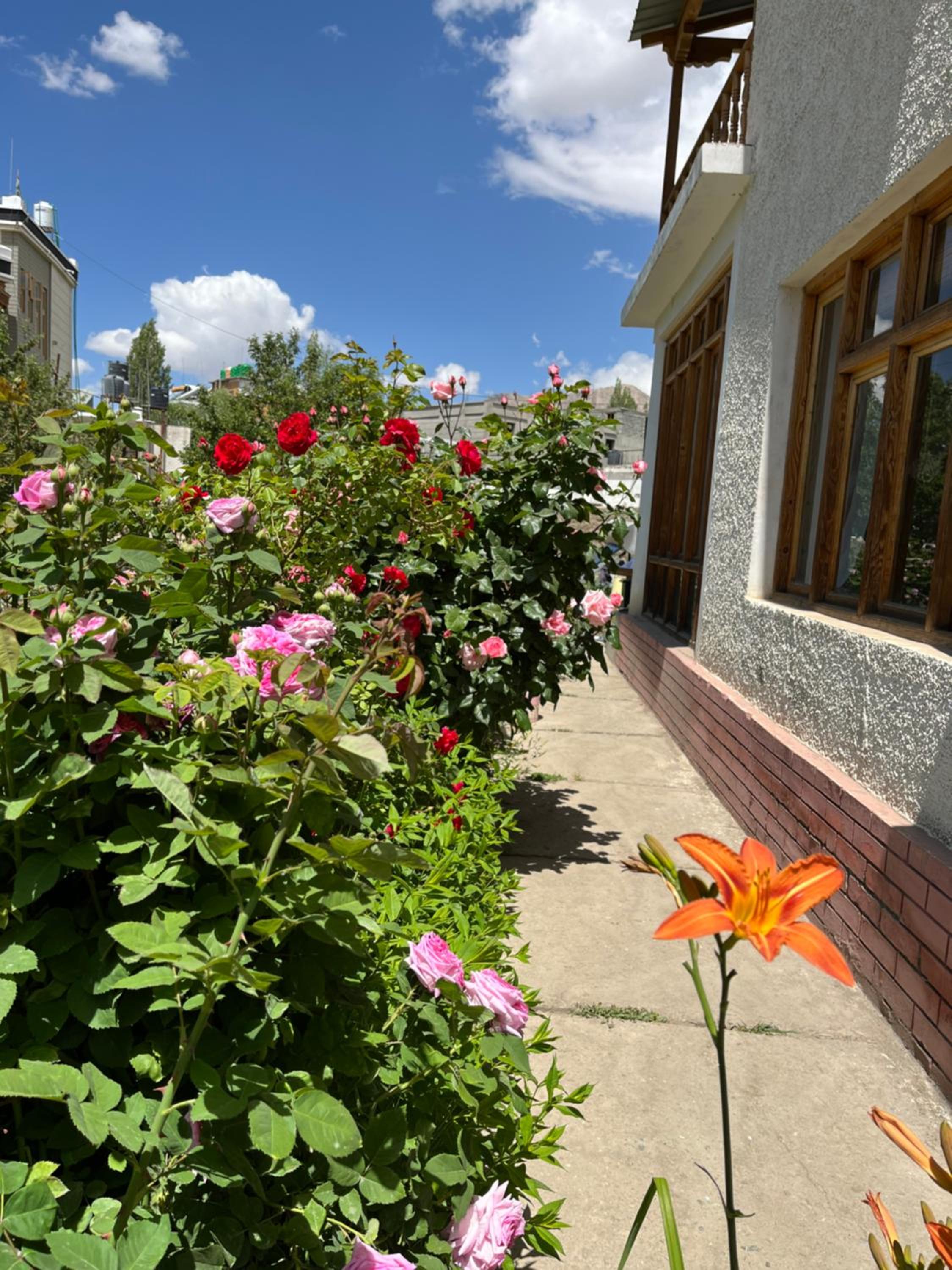 Chakzot garden house