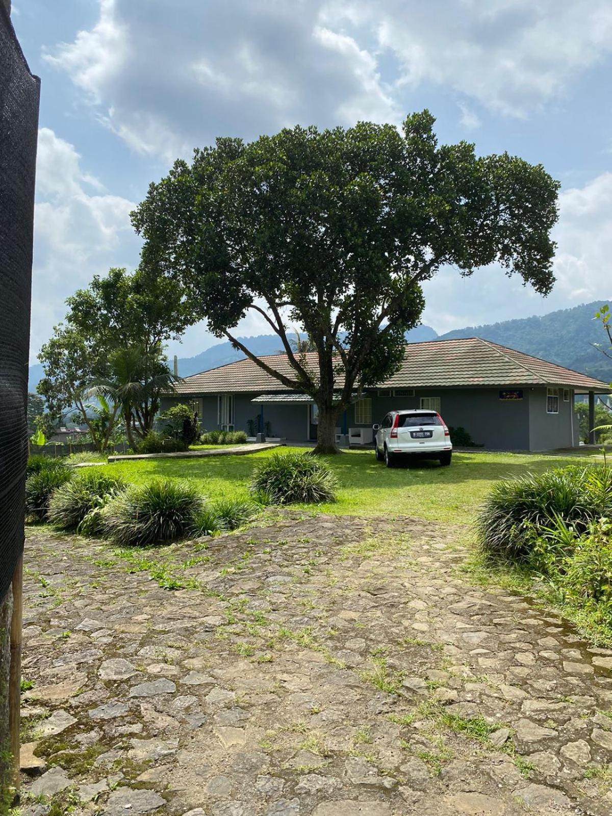 Rumah Selasar Sawah view 2