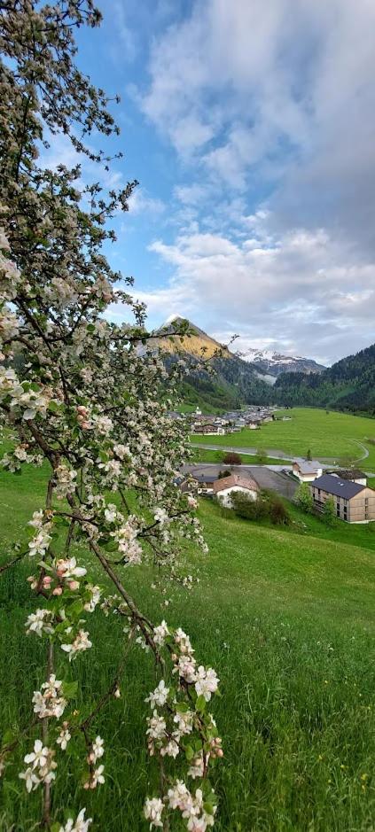 Fernblick Frühstückspension