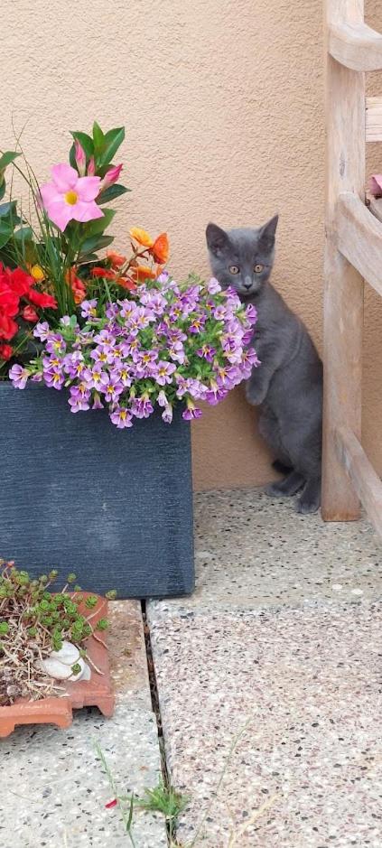 Fernblick Frühstückspension