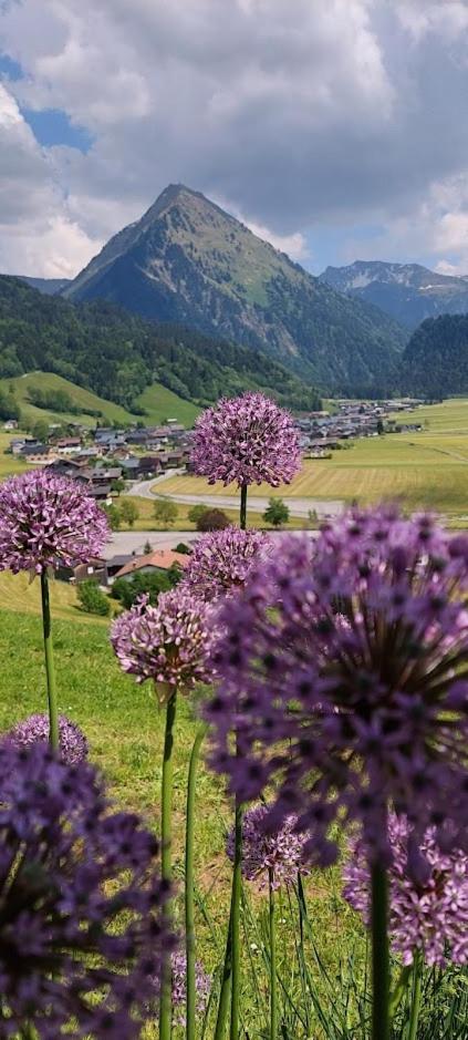 Fernblick Frühstückspension