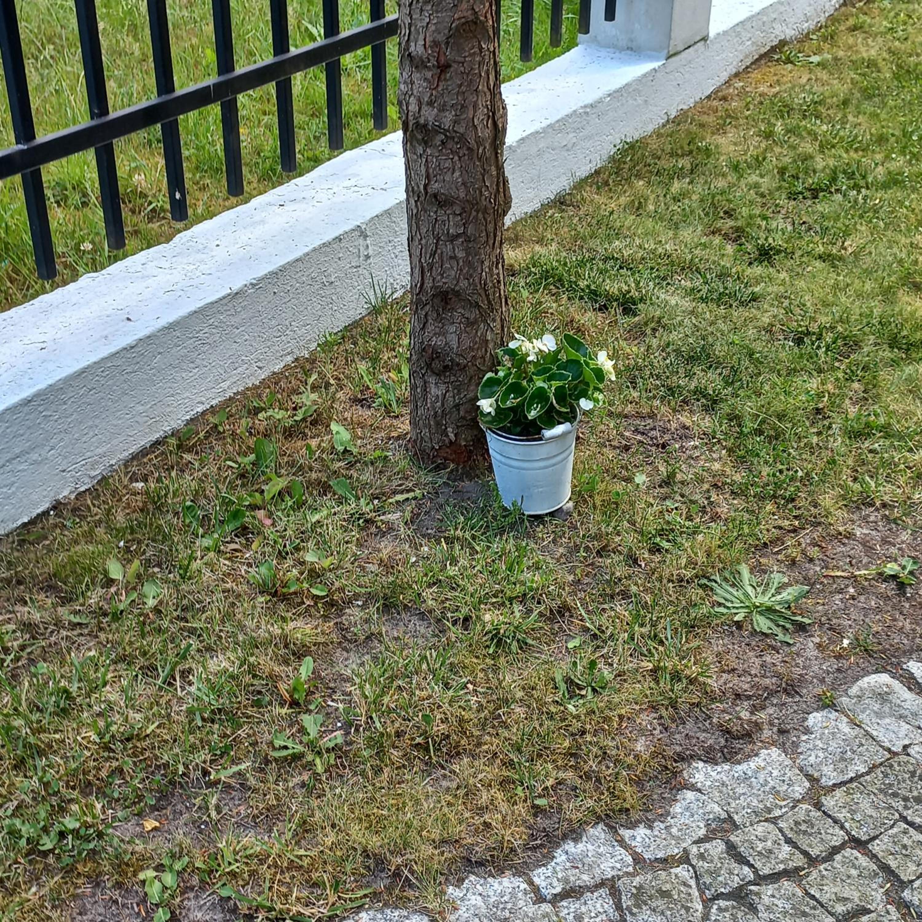 Photo 33