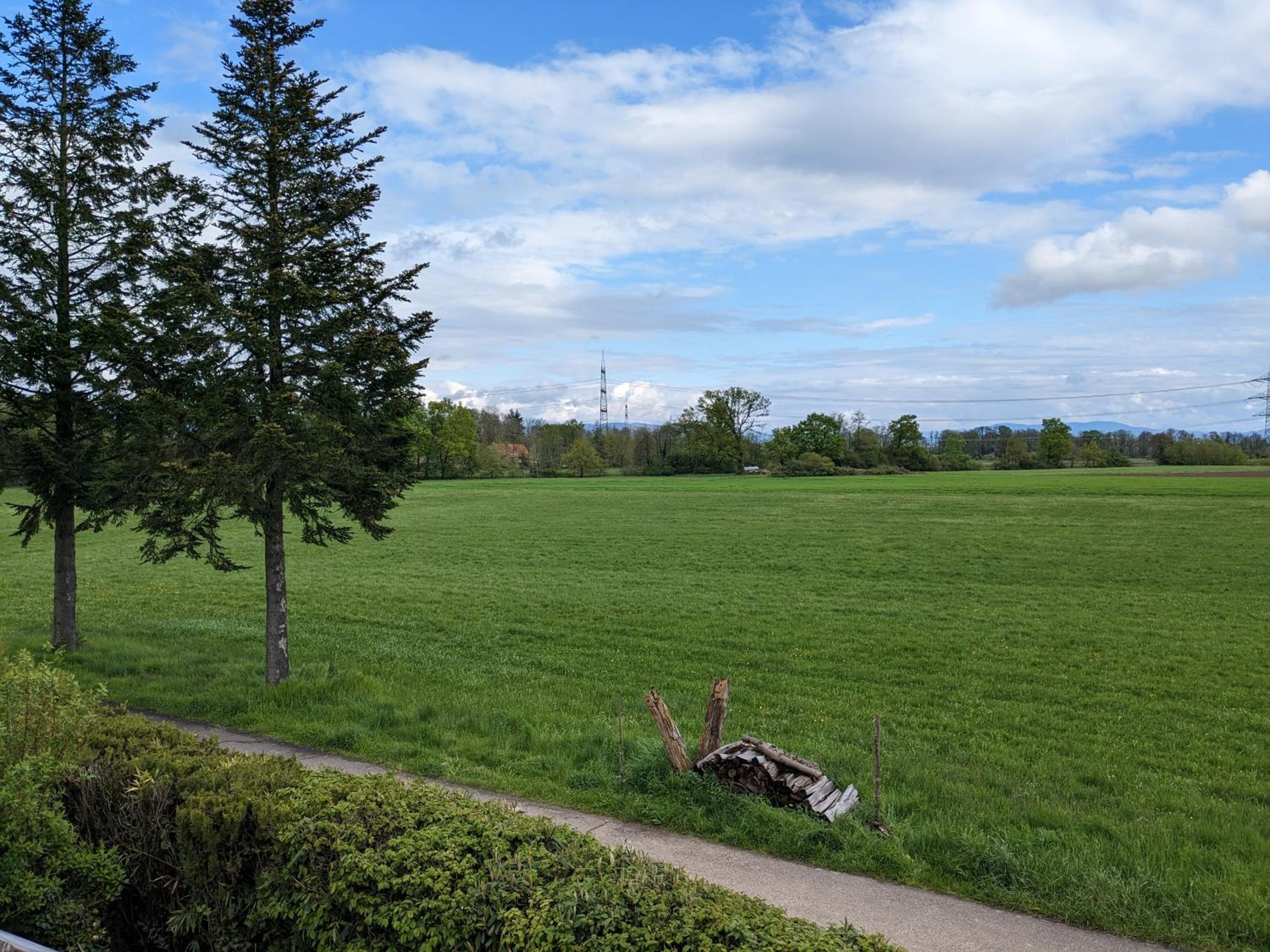 other
