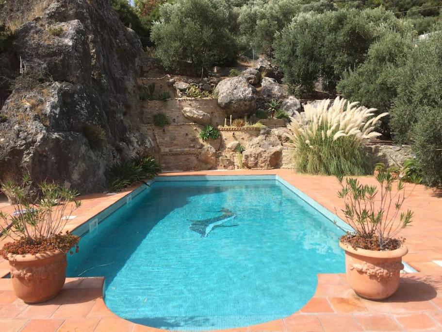 Staffed, unique and luxurious coastal villa in beautiful Anidri, Paleochora photo 3