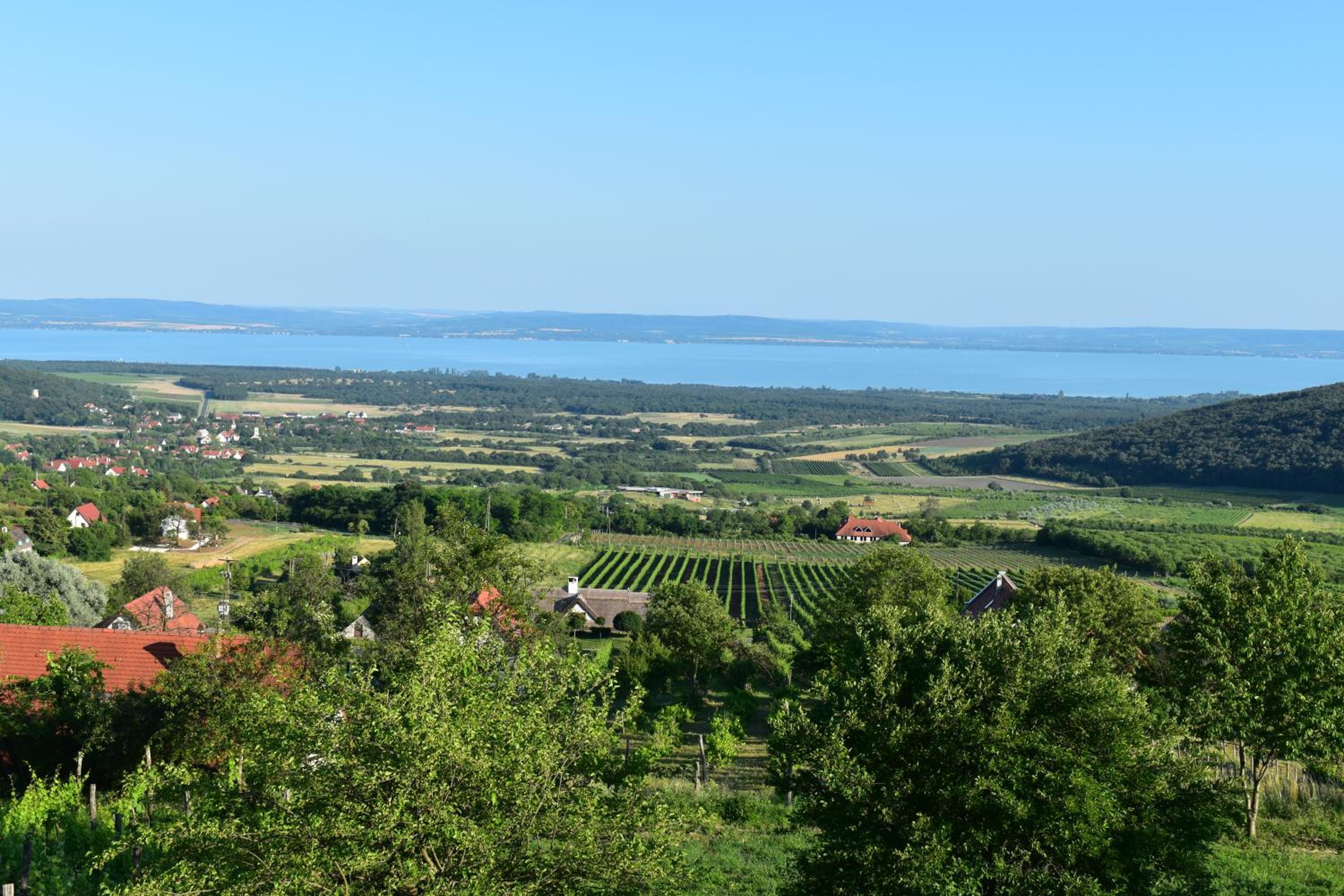 Panoráma Borbirtok