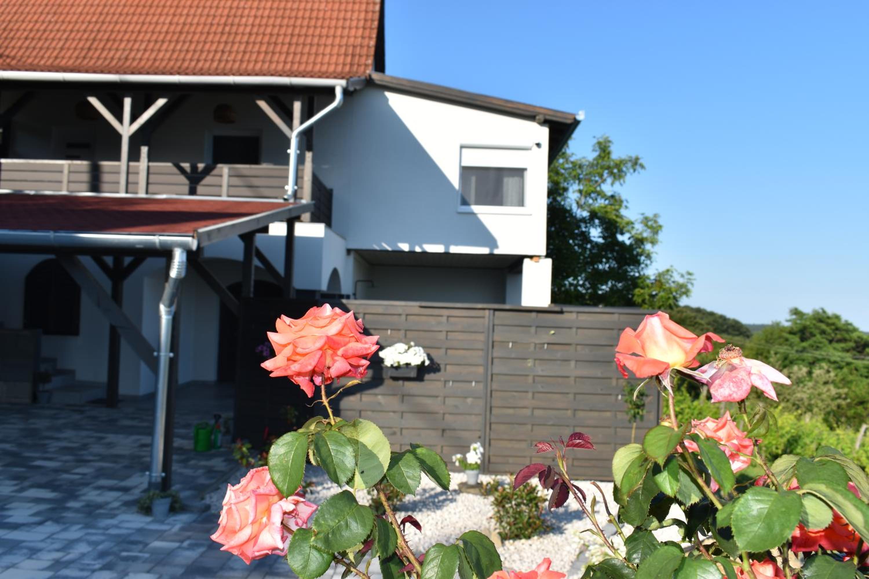Panoráma Borbirtok