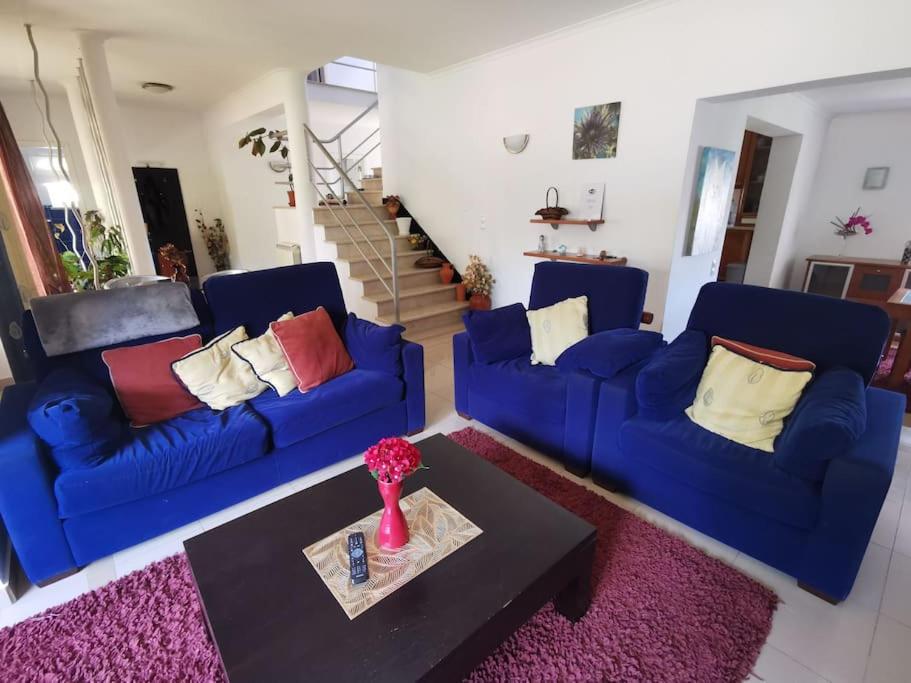 Cantinho da Alice Family Villa view 3