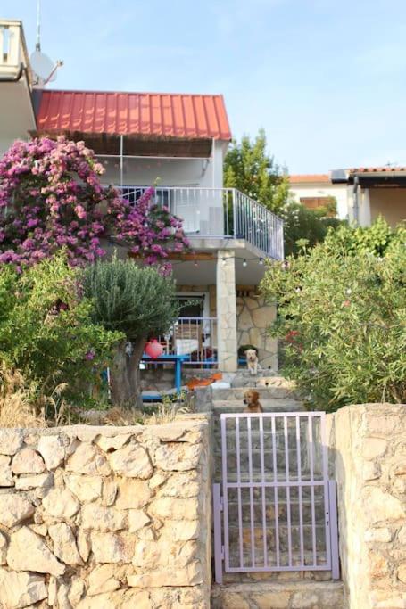 Small house at seafront