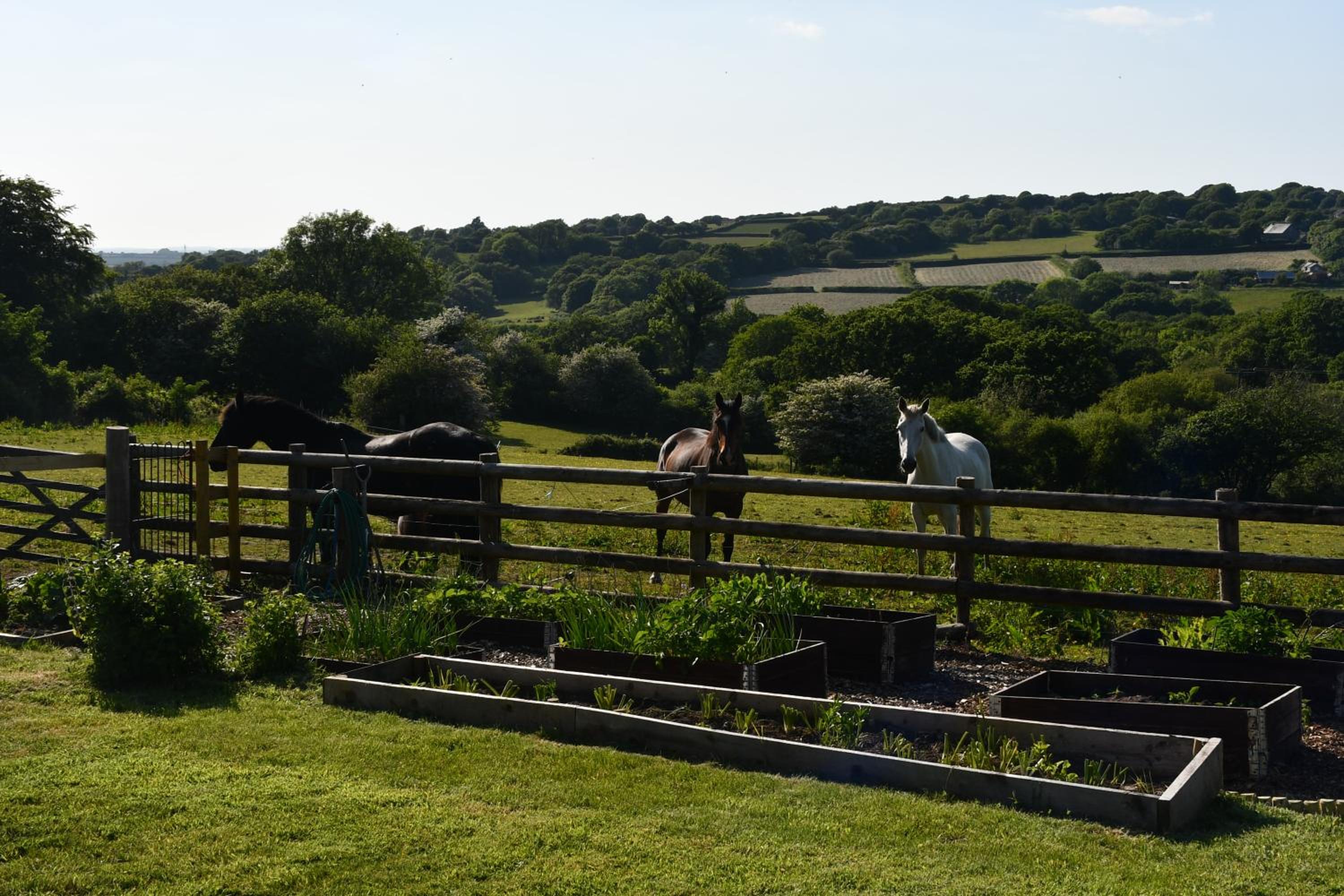 Moorland Breeze