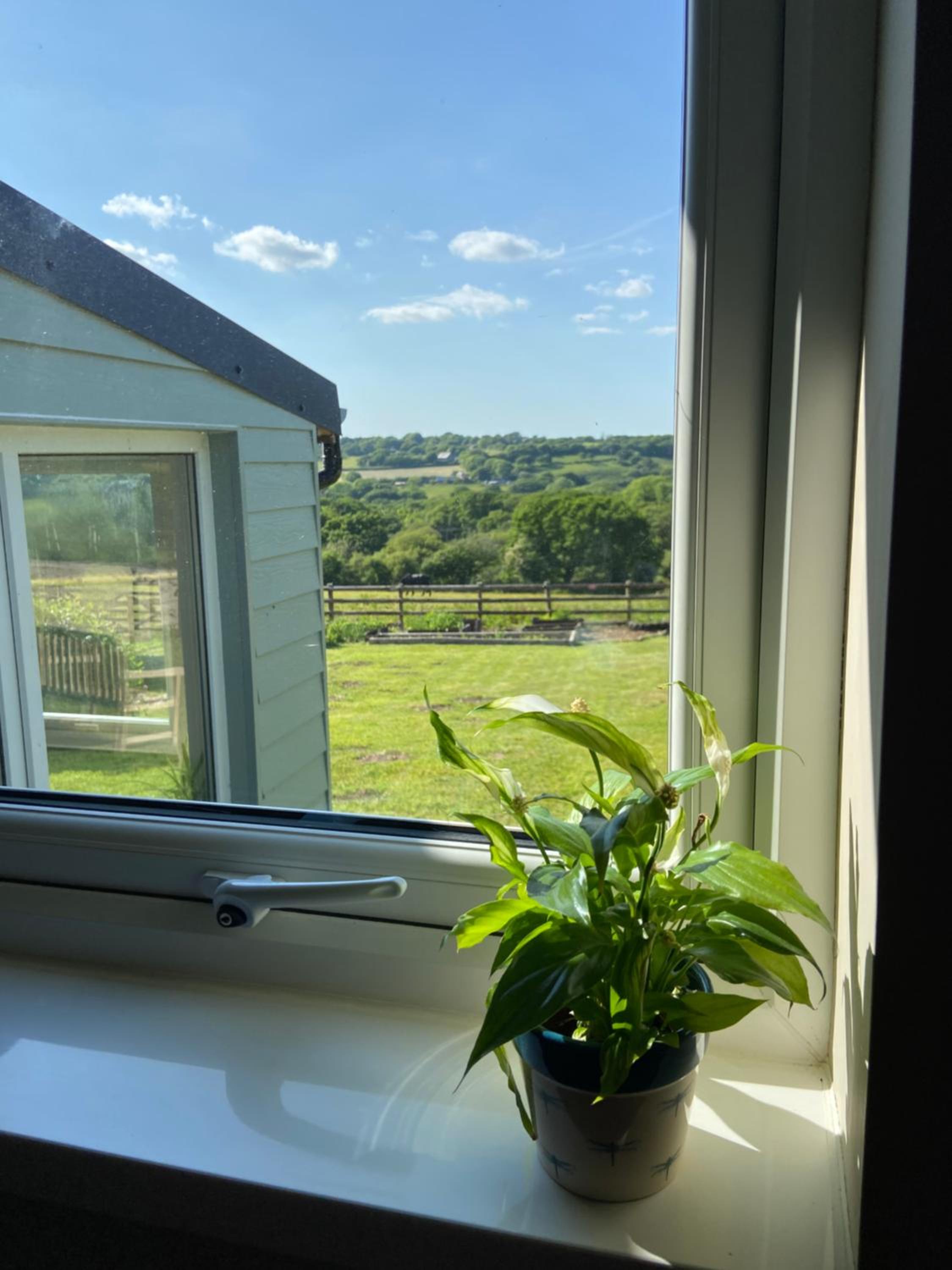 Moorland Breeze