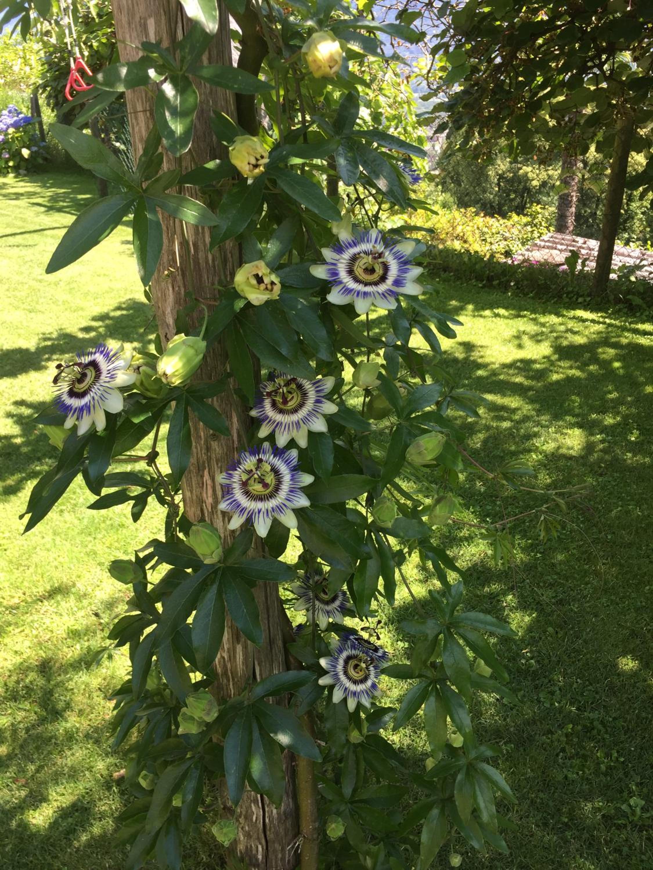 Photo 22