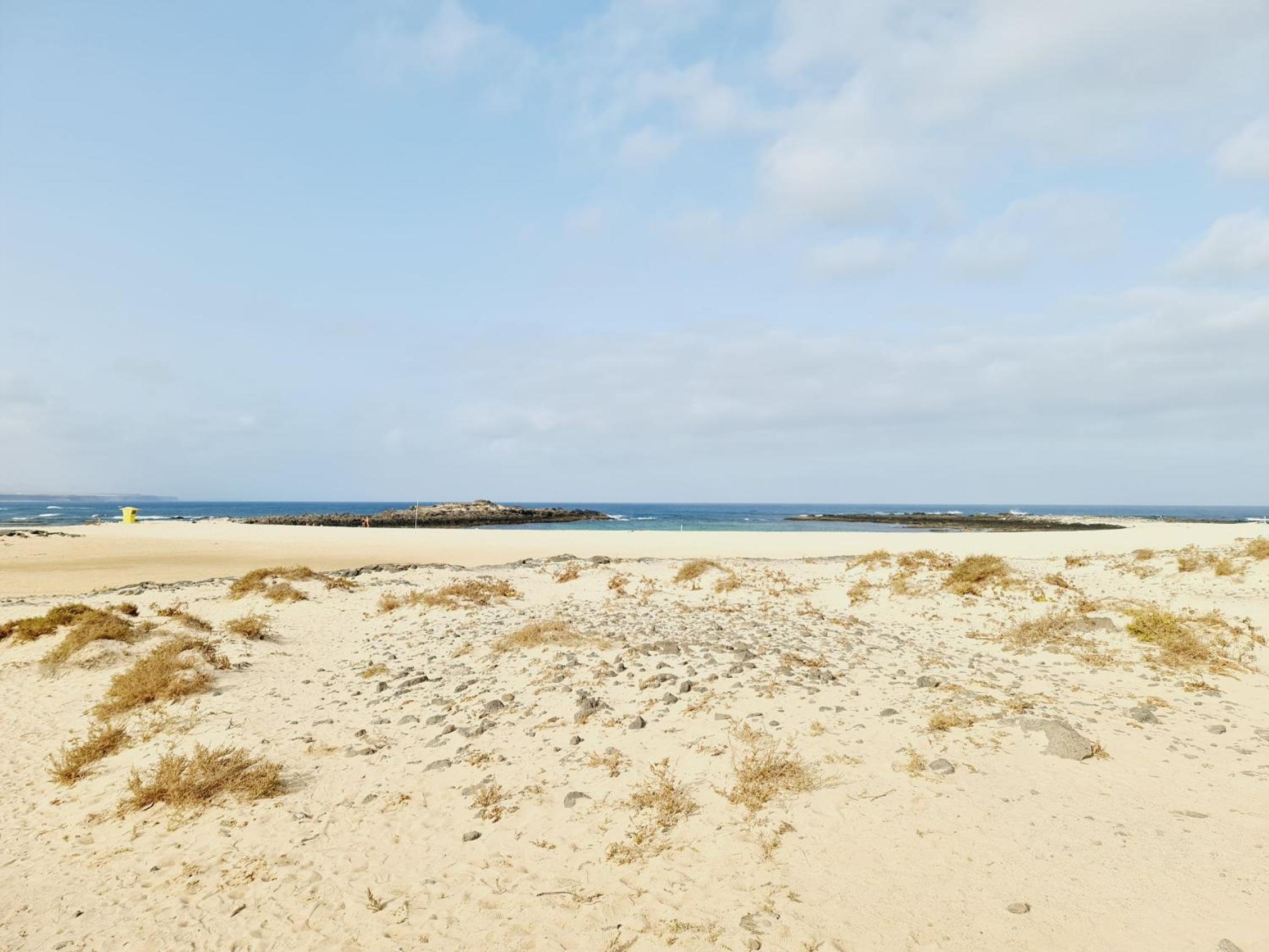 Cotillo Star by NicoleT