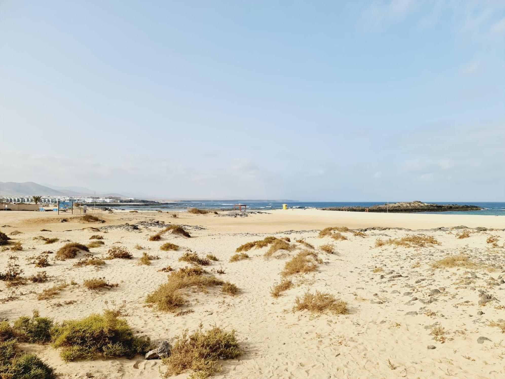 Cotillo Star by NicoleT