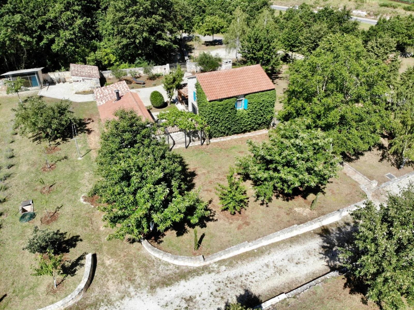 Family-sized renovated Istrian house w/lavand field - 20min from Rovinj. view 3